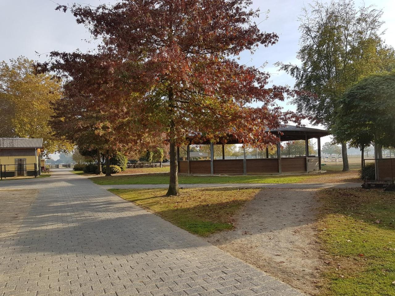 Apartments Luisenhof Krefeld Buitenkant foto